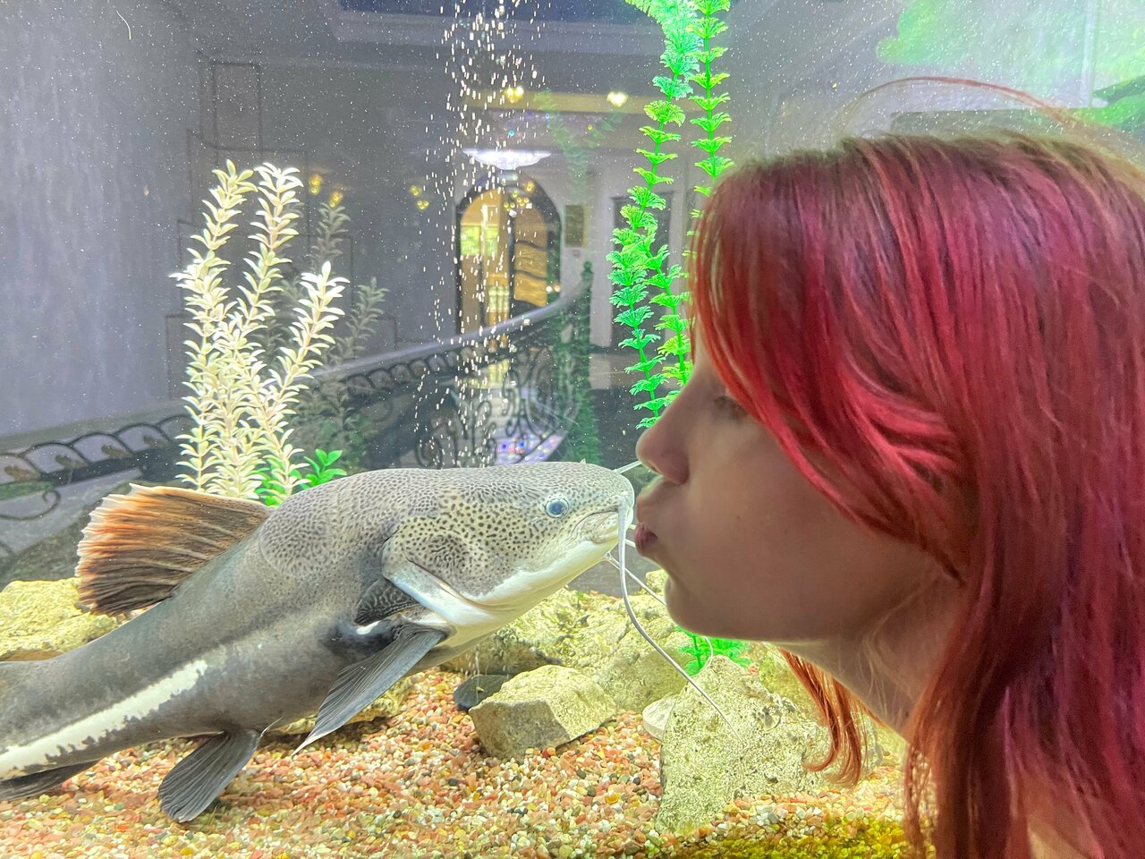 Гостиница Рафаэль Железноводск-236