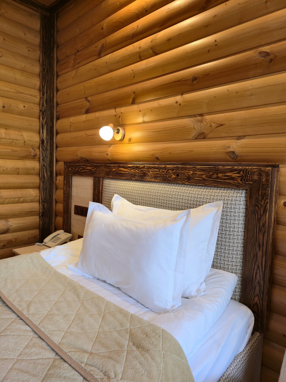 Гостиница Рафаэль Железноводск