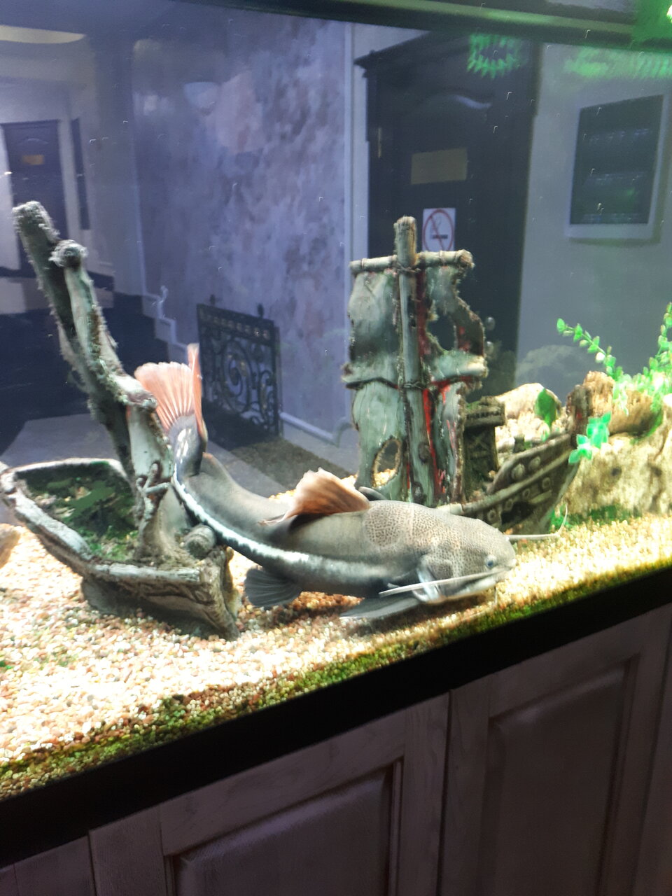 Гостиница Рафаэль Железноводск-84