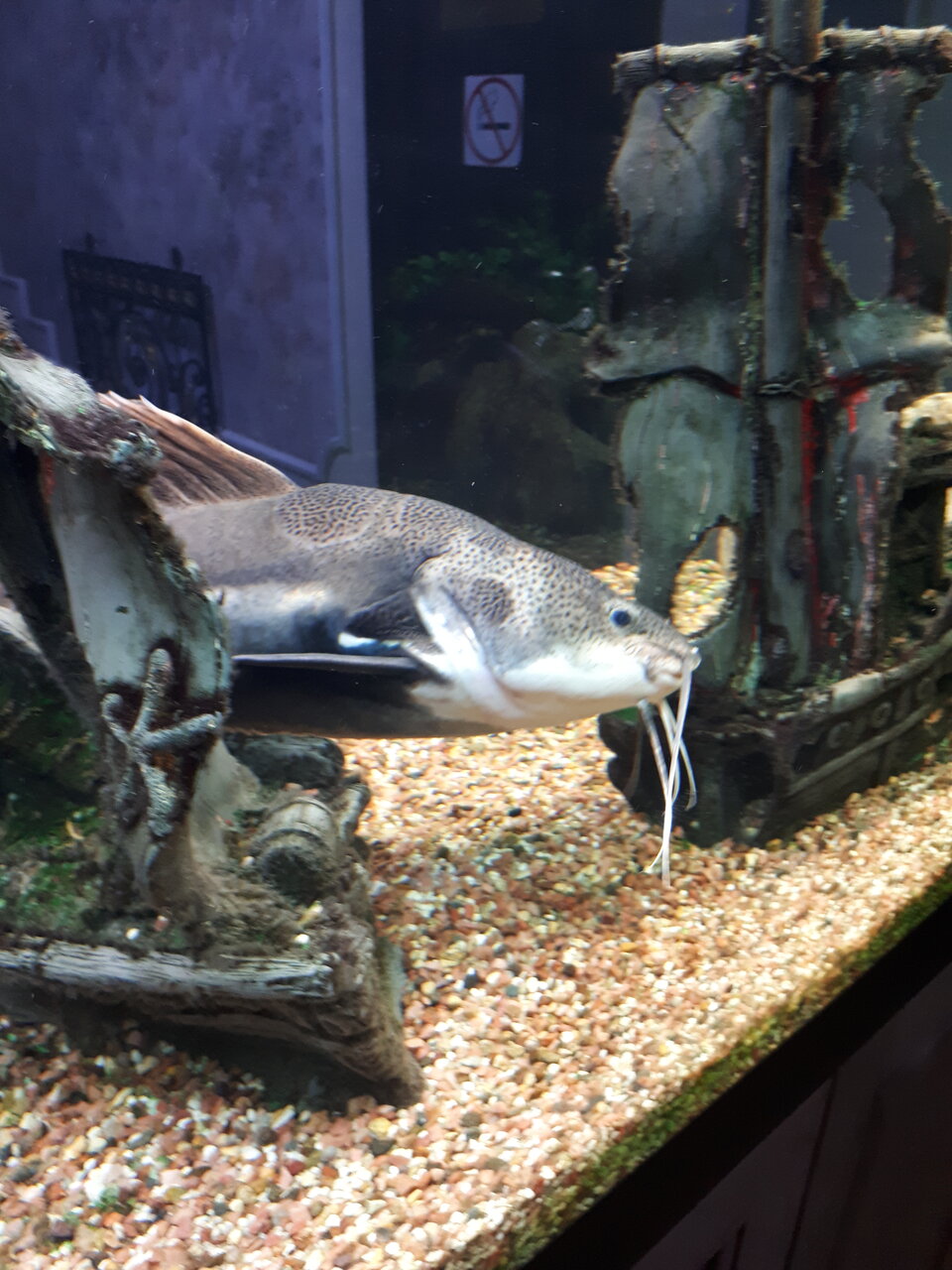 Гостиница Рафаэль Железноводск-83