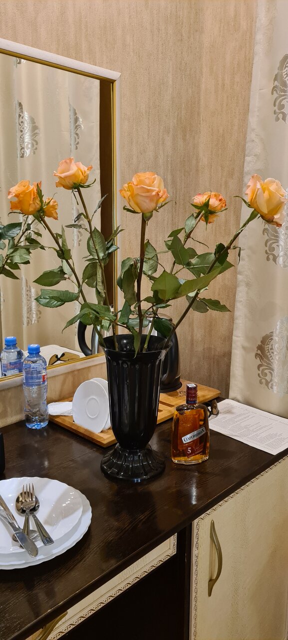 Гостиница Рафаэль Железноводск-196