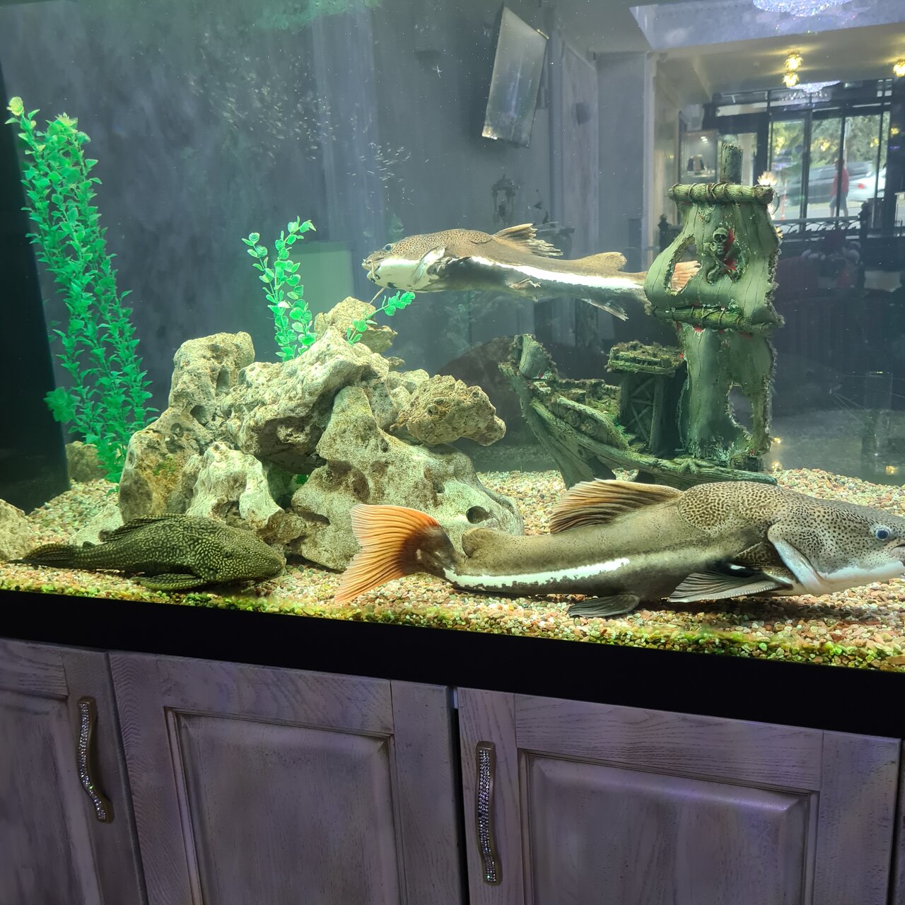 Гостиница Рафаэль Железноводск-147