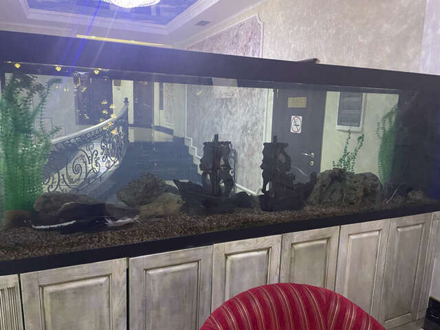 Гостиница Рафаэль Железноводск-115