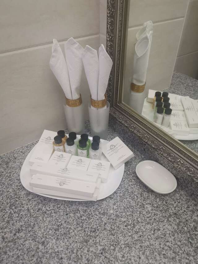 Гостиница Рафаэль Железноводск-202