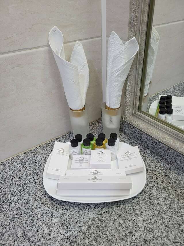 Гостиница Рафаэль Железноводск-249