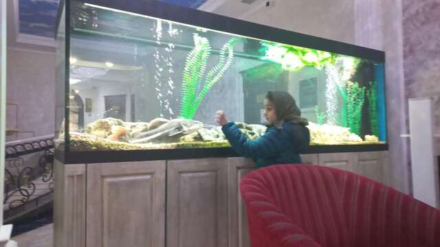 Гостиница Рафаэль Железноводск-180