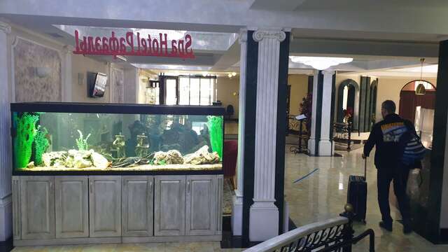 Гостиница Рафаэль Железноводск-66