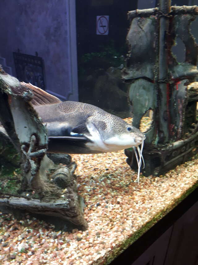 Гостиница Рафаэль Железноводск-82