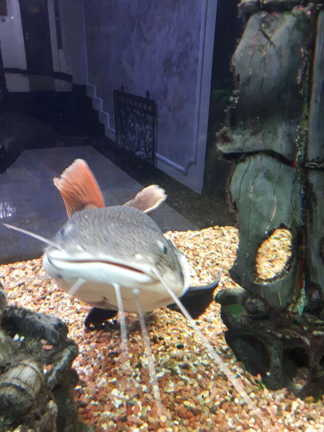 Гостиница Рафаэль Железноводск-122