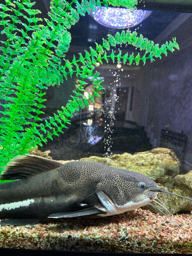 Гостиница Рафаэль Железноводск-192