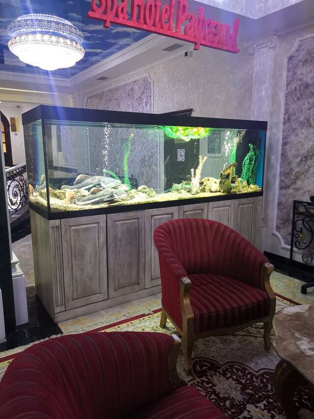 Гостиница Рафаэль Железноводск-207