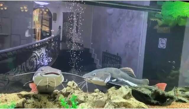 Гостиница Рафаэль Железноводск-234