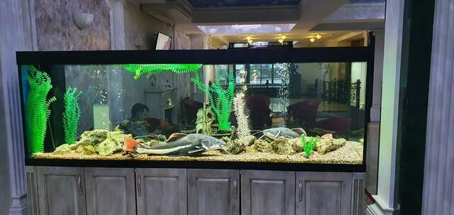 Гостиница Рафаэль Железноводск-216