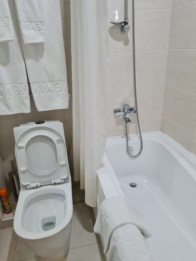 Гостиница Рафаэль Железноводск-148