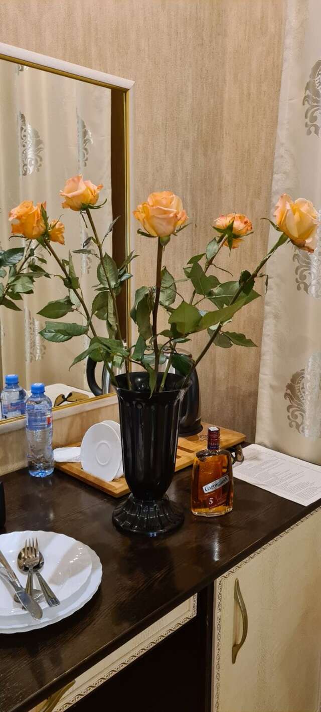 Гостиница Рафаэль Железноводск-195