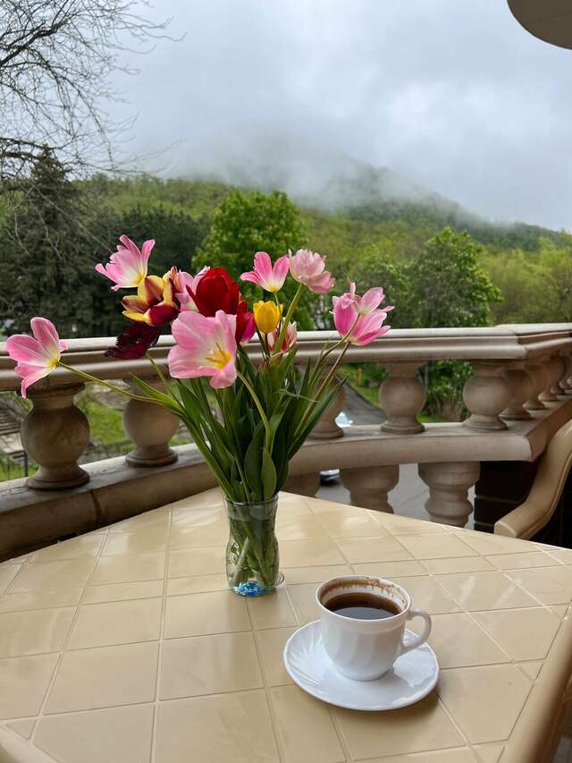 Гостиница Рафаэль Железноводск-220