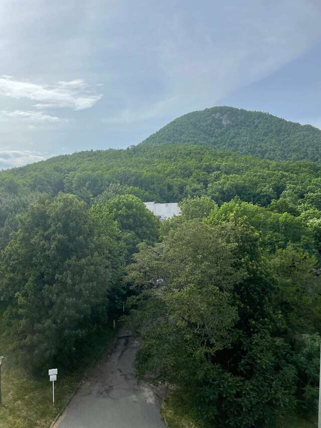 Гостиница Рафаэль Железноводск-226